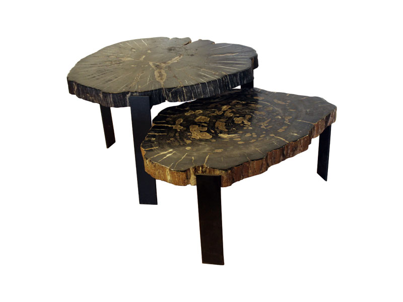 petrified-wood-coffee-table-02
