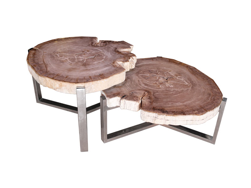 petrified-wood-coffee-table-03