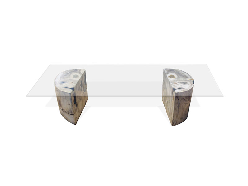 petrified-wood-coffee-table-11
