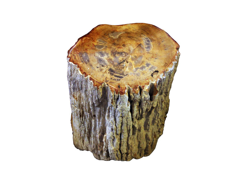 petrified-wood-stool-1