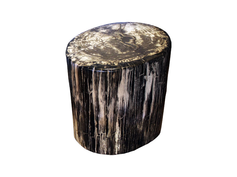 petrified-wood-stool-1